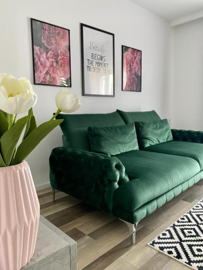 Velvet Studio Târgu-Mureş Exteriér fotografie